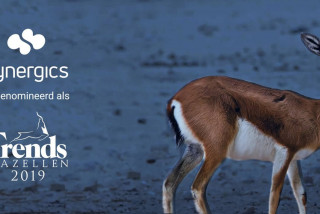 Wortell genomineerd als Trends Gazelle 2019| Blog | Wortell